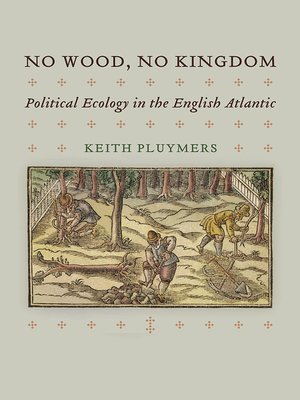 cover image of No Wood, No Kingdom
